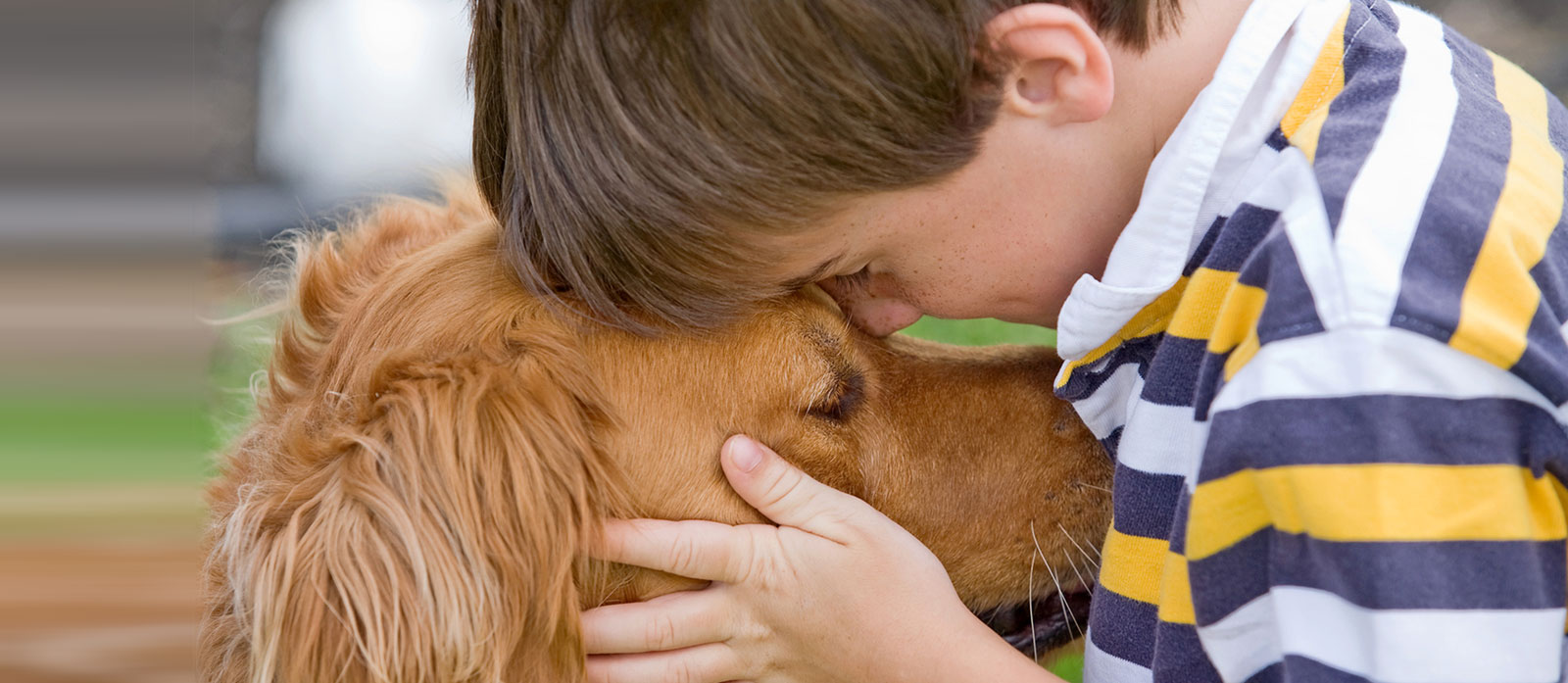 Helping A Child Get Over The Loss Of A Dog 